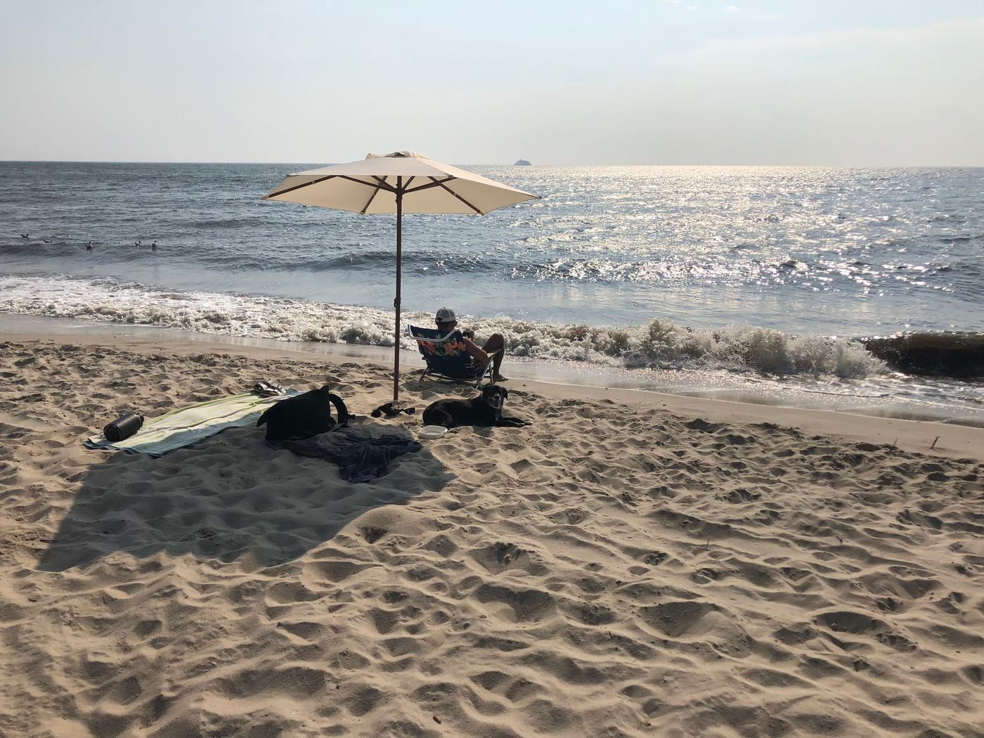 Snorkeling Anaehoomalu Bay - Nice Long Beach With Low 