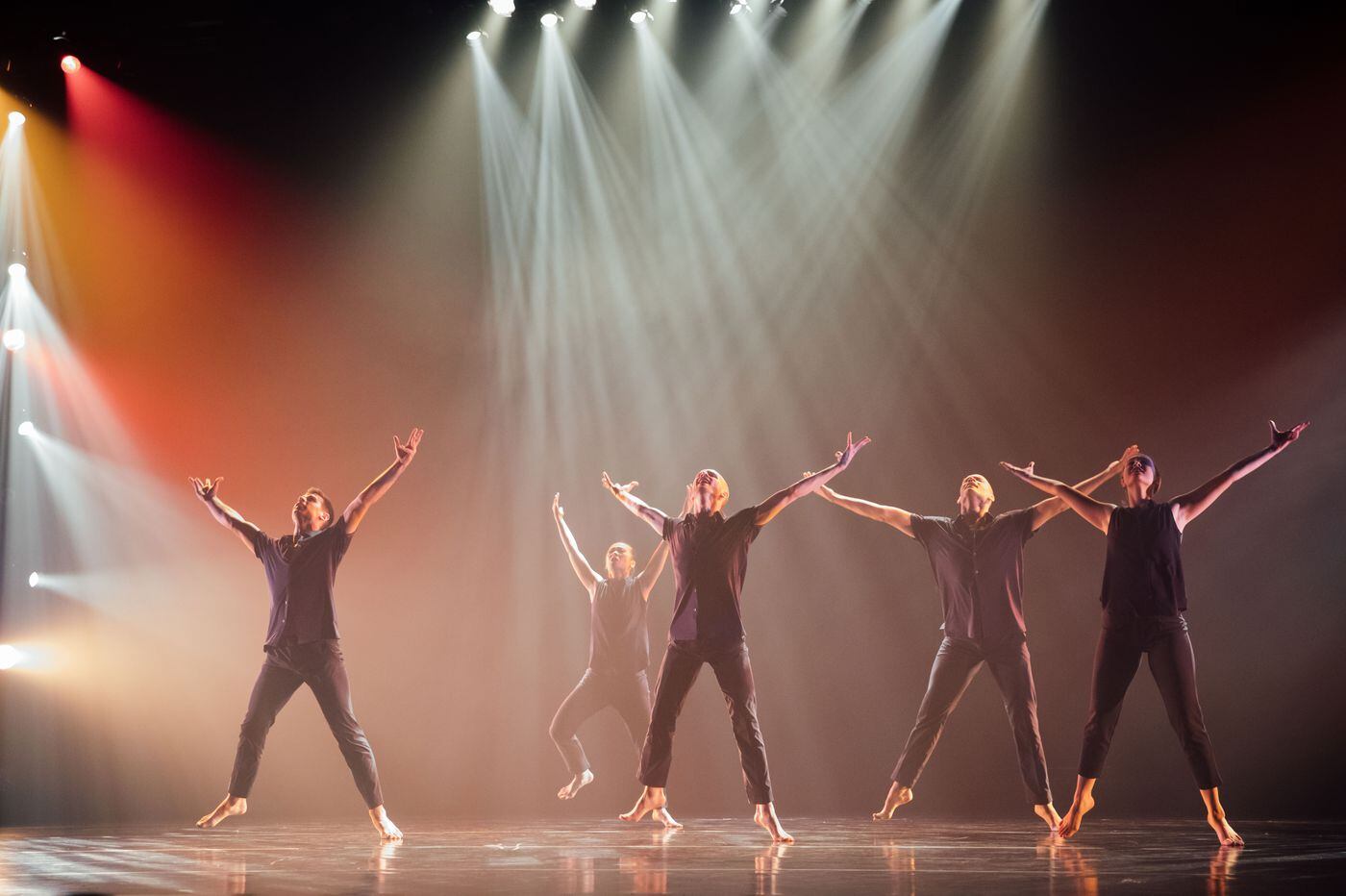 Koresh Dance Company sets Matisse’s ‘La Danse’ in motion