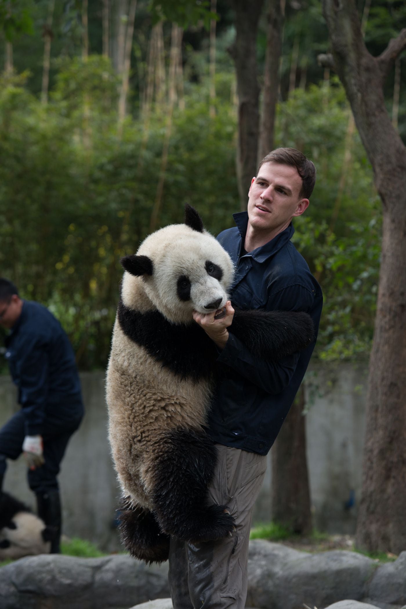 In ‘Pandas’ film, Drexel team helps release artificially bred bears ...